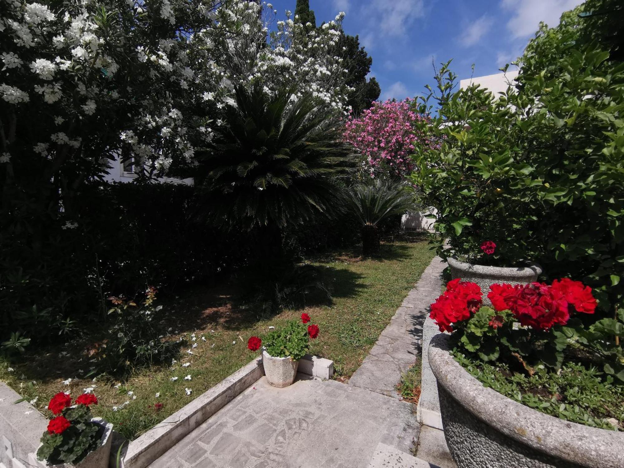 Apartments Maris Garden Petrovac Dış mekan fotoğraf
