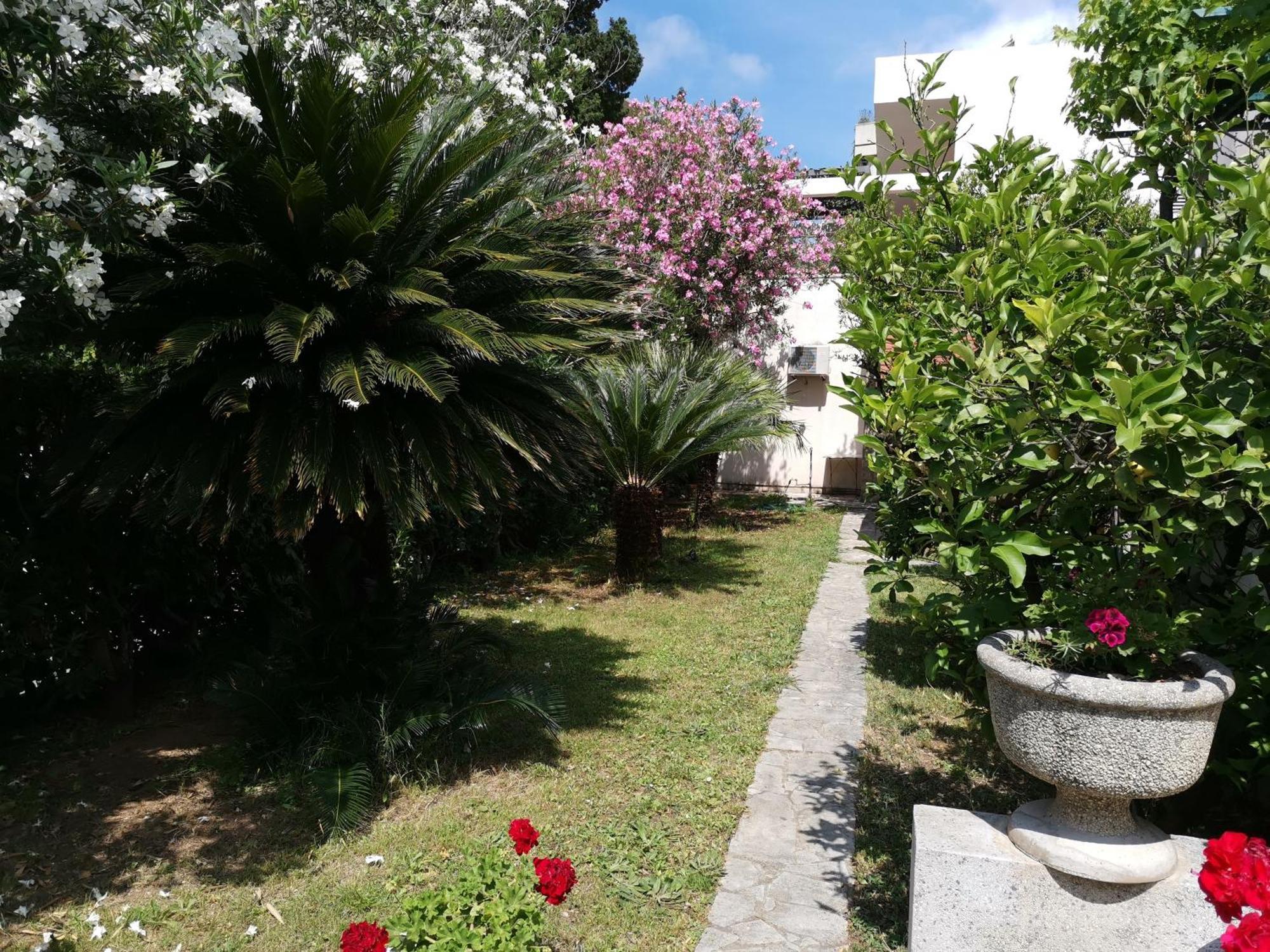 Apartments Maris Garden Petrovac Dış mekan fotoğraf