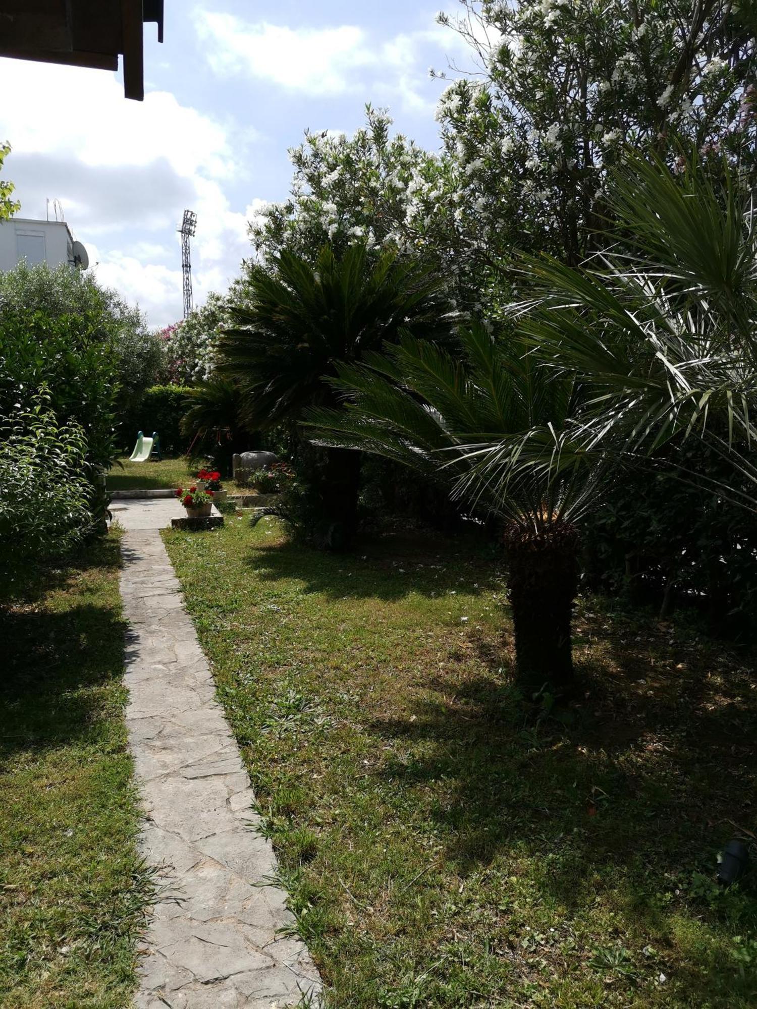 Apartments Maris Garden Petrovac Dış mekan fotoğraf
