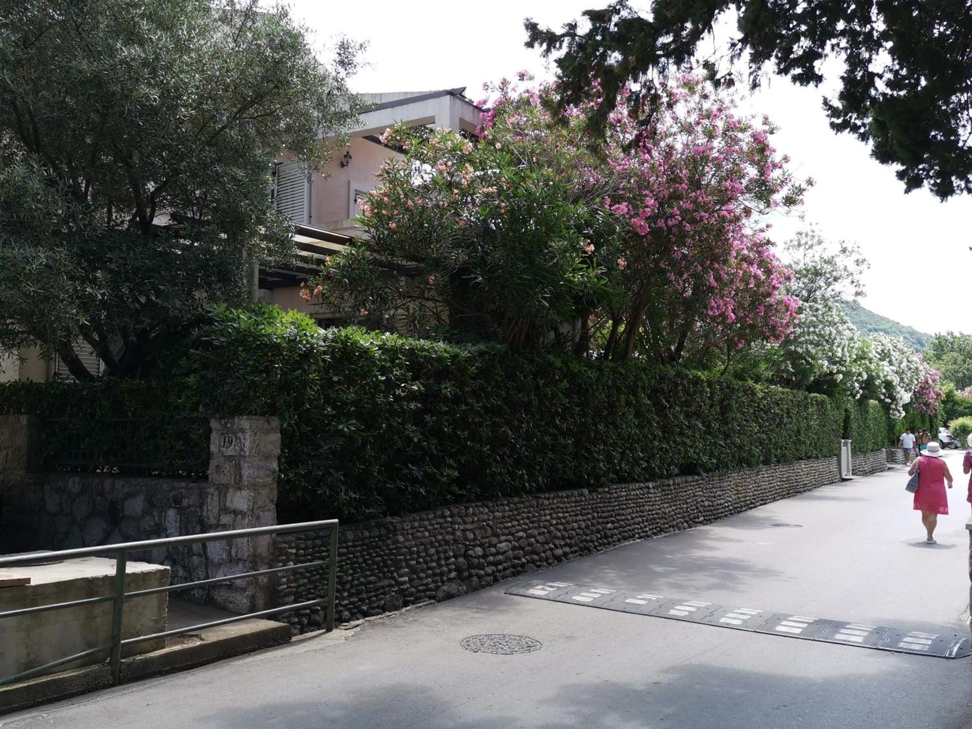 Apartments Maris Garden Petrovac Dış mekan fotoğraf