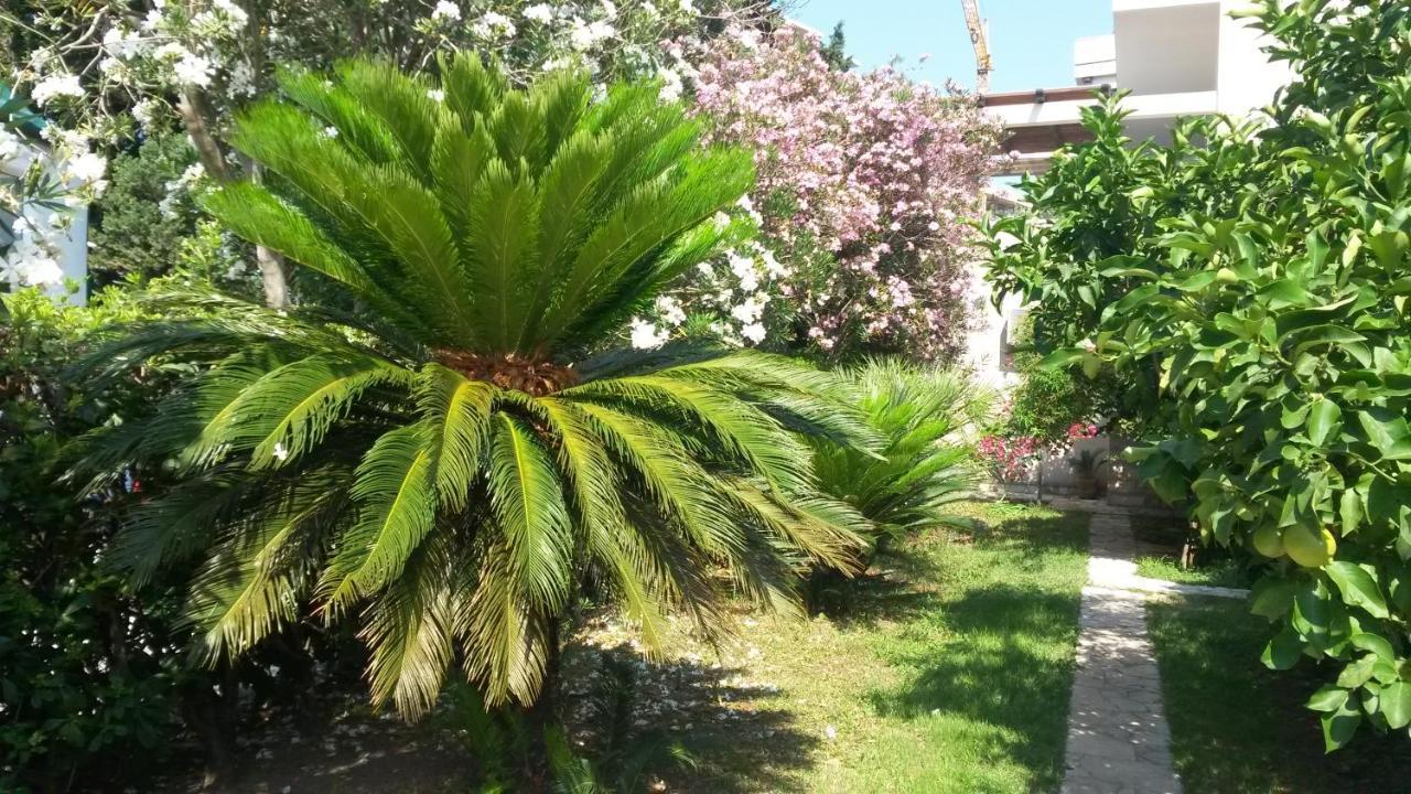 Apartments Maris Garden Petrovac Dış mekan fotoğraf