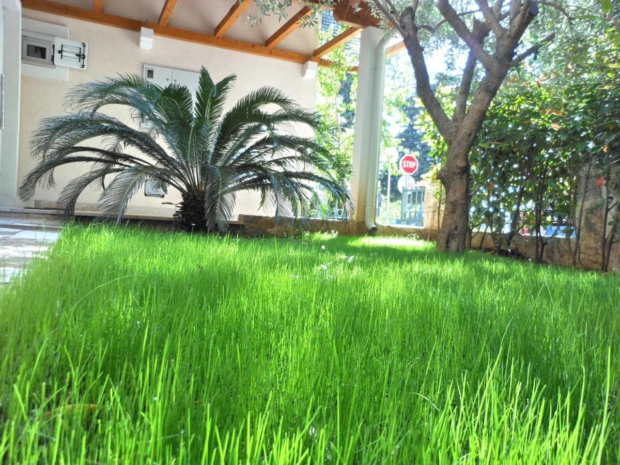 Apartments Maris Garden Petrovac Dış mekan fotoğraf